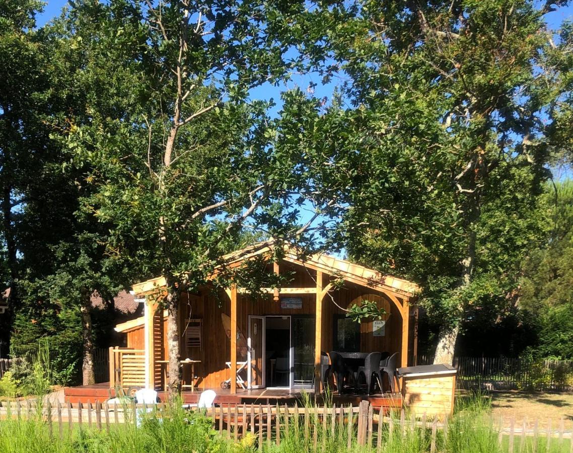 Chalet Prestige Au Coeur Du Bassin D'Arcachon La Teste-de-Buch Exteriér fotografie